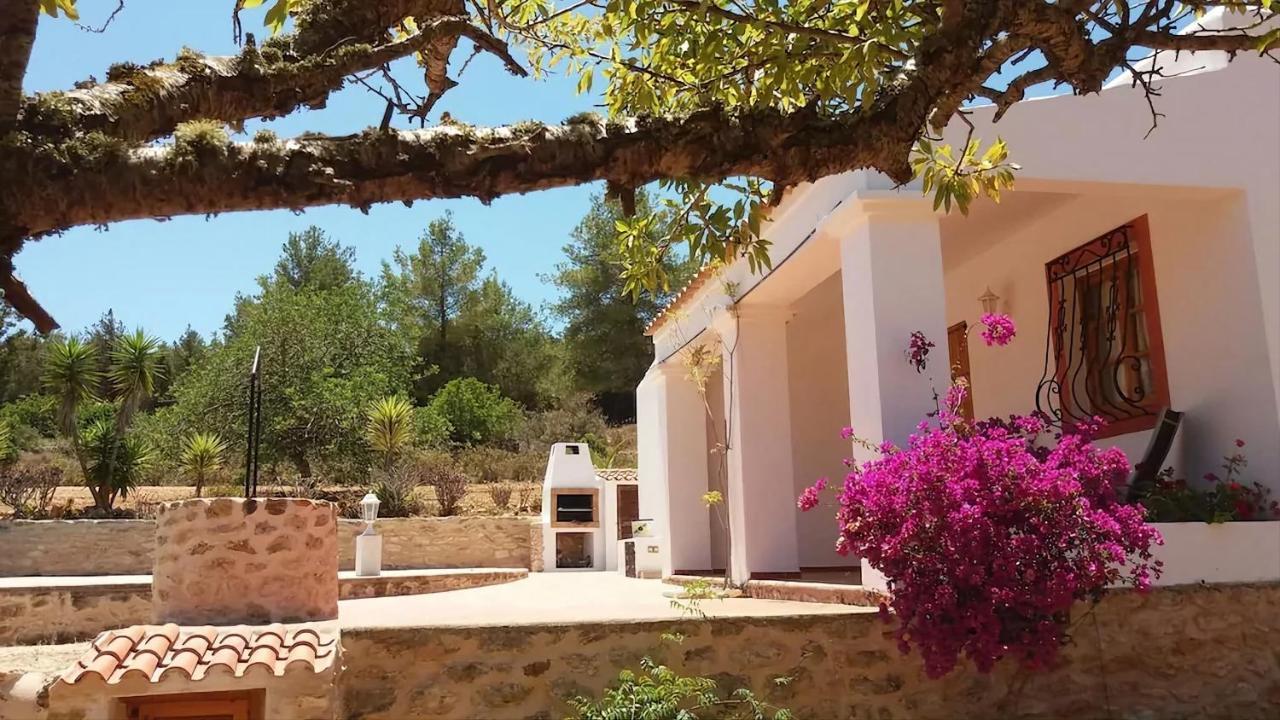 סן חוזה דה סא טלאיה Villa Great Paradise מראה חיצוני תמונה