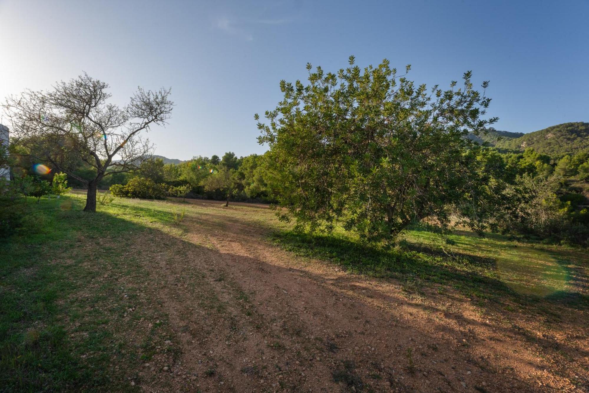 סן חוזה דה סא טלאיה Villa Great Paradise מראה חיצוני תמונה
